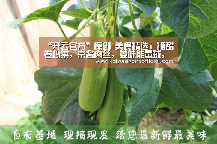 开云官方